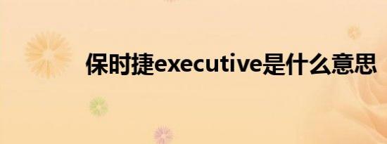 保时捷executive是什么意思