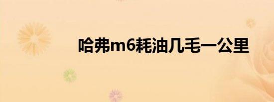 哈弗m6耗油几毛一公里