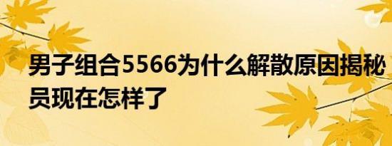 男子组合5566为什么解散原因揭秘 5566成员现在怎样了