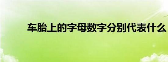 车胎上的字母数字分别代表什么？