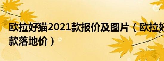 欧拉好猫2021款报价及图片（欧拉好猫2021款落地价）