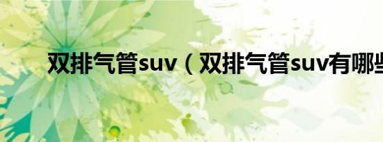 双排气管suv（双排气管suv有哪些）