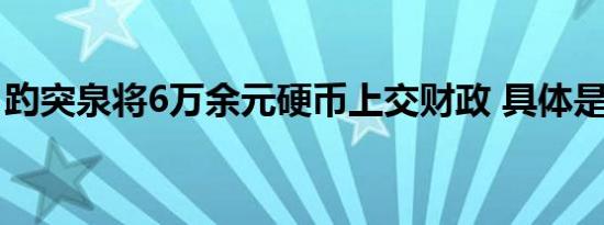 趵突泉将6万余元硬币上交财政 具体是啥情况