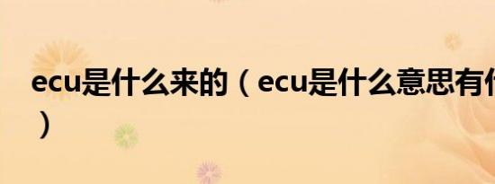 ecu是什么来的（ecu是什么意思有什么功能）