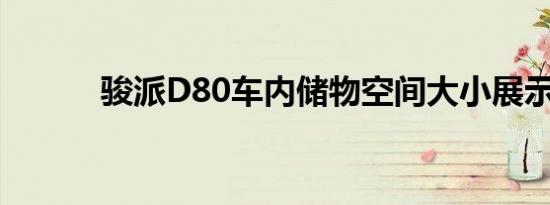 骏派D80车内储物空间大小展示