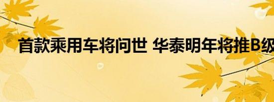 首款乘用车将问世 华泰明年将推B级新车