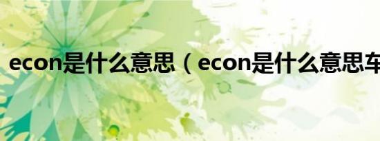 econ是什么意思（econ是什么意思车上的）