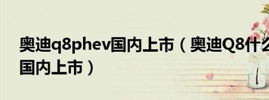 奥迪q8phev国内上市（奥迪Q8什么时候在国内上市）