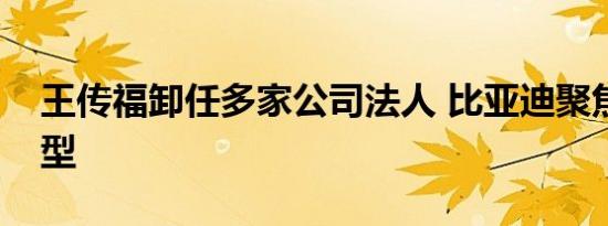 王传福卸任多家公司法人 比亚迪聚焦开放转型