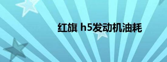 红旗 h5发动机油耗