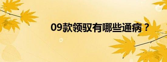 09款领驭有哪些通病？