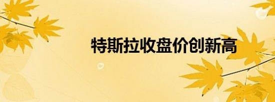 特斯拉收盘价创新高