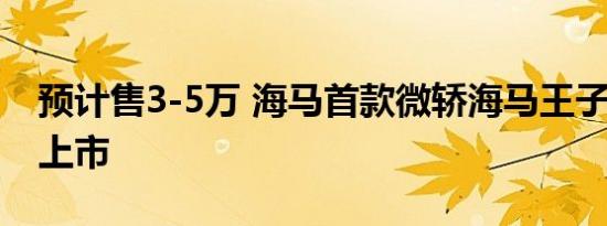 预计售3-5万 海马首款微轿海马王子明年3月上市