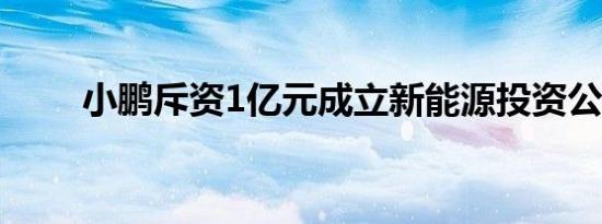 小鹏斥资1亿元成立新能源投资公司