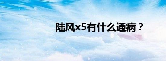 陆风x5有什么通病？