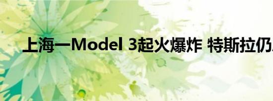 上海一Model 3起火爆炸 特斯拉仍甩锅