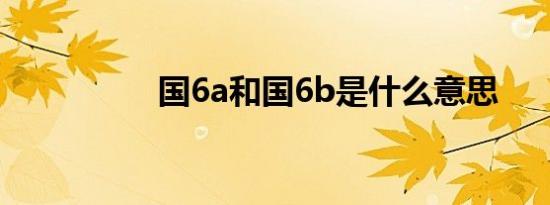 国6a和国6b是什么意思