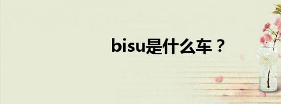 bisu是什么车？