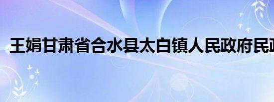 王娟甘肃省合水县太白镇人民政府民政助理