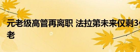 元老级高管再离职 法拉第未来仅剩3位创始元老