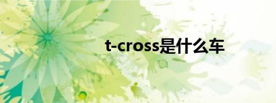 t-cross是什么车