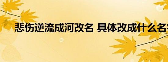 悲伤逆流成河改名 具体改成什么名字了