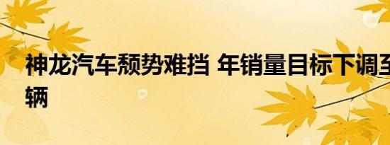 神龙汽车颓势难挡 年销量目标下调至40.2万辆