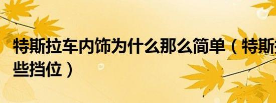 特斯拉车内饰为什么那么简单（特斯拉车有哪些挡位）