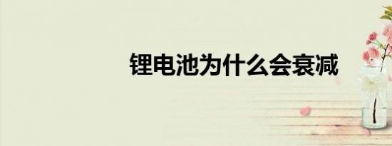 锂电池为什么会衰减