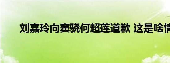 刘嘉玲向窦骁何超莲道歉 这是啥情况