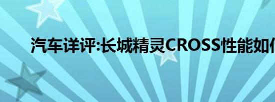 汽车详评:长城精灵CROSS性能如何？