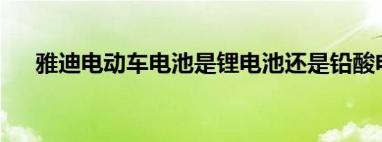 雅迪电动车电池是锂电池还是铅酸电池