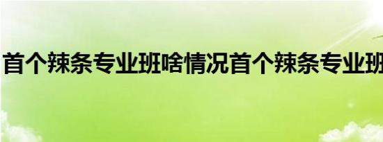 首个辣条专业班啥情况首个辣条专业班怎样的