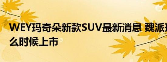 WEY玛奇朵新款SUV最新消息 魏派玛奇朵什么时候上市