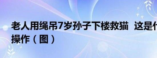 老人用绳吊7岁孙子下楼救猫  这是什么神仙操作（图）