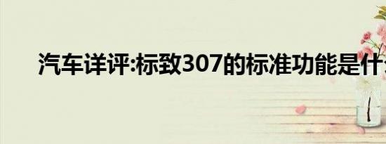 汽车详评:标致307的标准功能是什么？