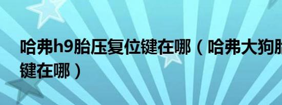 哈弗h9胎压复位键在哪（哈弗大狗胎压复位键在哪）