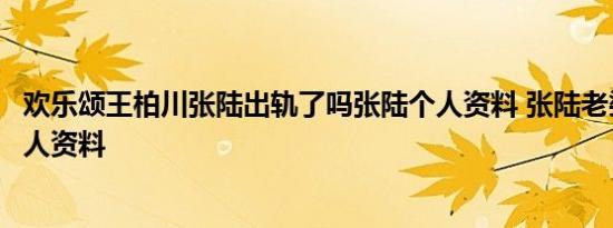 欢乐颂王柏川张陆出轨了吗张陆个人资料 张陆老婆邵思涵个人资料