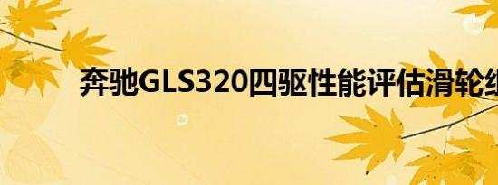 奔驰GLS320四驱性能评估滑轮组