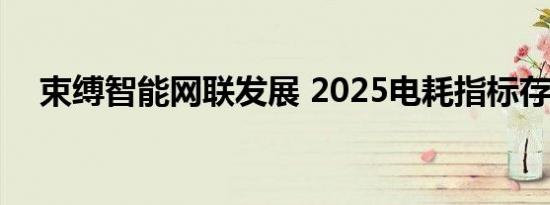 束缚智能网联发展 2025电耗指标存争议