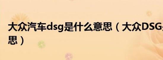 大众汽车dsg是什么意思（大众DSG是什么意思）