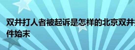 双井打人者被起诉是怎样的北京双井打人者事件始末