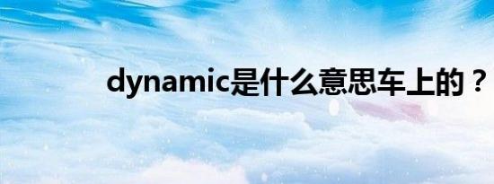 dynamic是什么意思车上的？