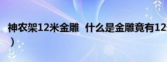 神农架12米金雕  什么是金雕竟有12米高（图）