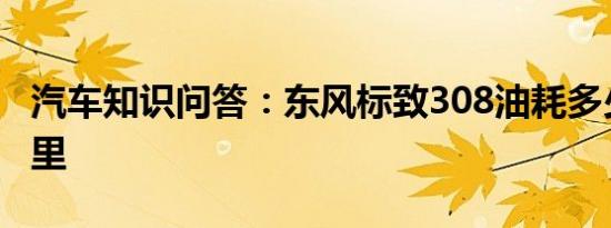 汽车知识问答：东风标致308油耗多少钱一公里