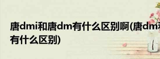 唐dmi和唐dm有什么区别啊(唐dm和唐dmi有什么区别)