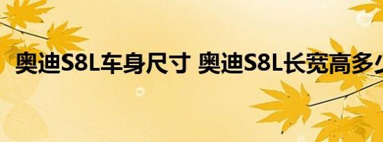 奥迪S8L车身尺寸 奥迪S8L长宽高多少大概