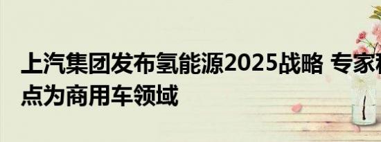 上汽集团发布氢能源2025战略 专家称当前重点为商用车领域