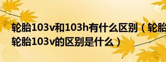 轮胎103v和103h有什么区别（轮胎103h和轮胎103v的区别是什么）