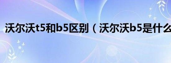 沃尔沃t5和b5区别（沃尔沃b5是什么意思）